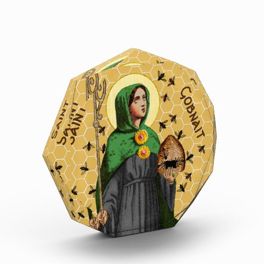 Gobnait Ballyvourney (SAE 003) Fotoblock (Links)