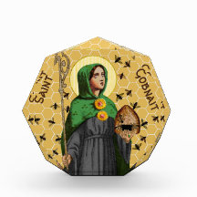 Gobnait Ballyvourney (SAE 003)