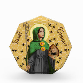 Gobnait Ballyvourney (SAE 003) Fotoblock