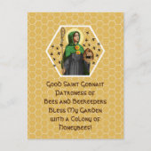 Gobnait Ballyvourney (SAE 003) Postkarte (Vorderseite)