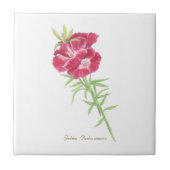 Godetia Fliese (Vorderseite)