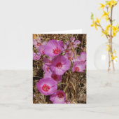 Godetia-Karte Karte (Gelbe Blume)