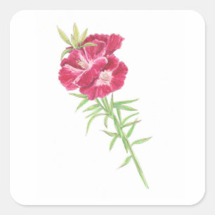 Godetia  quadratischer aufkleber