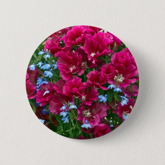 Godetia und Lobelia-Button Button (Vorderseite)