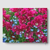 Godetia und Lobelia Gästebuch (Rückseite)