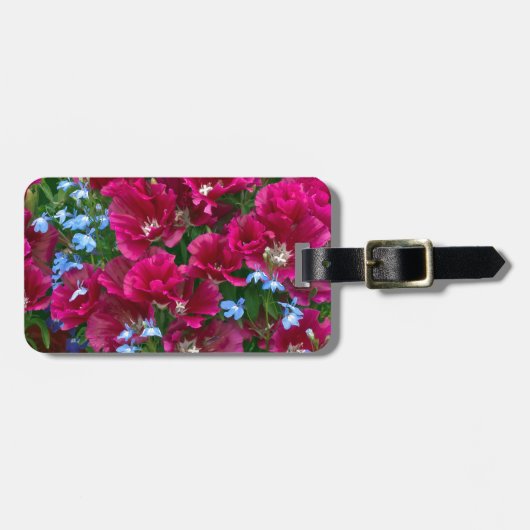 Godetia und Lobelia-Geschenke Gepäckanhänger (Vorderseite horizontal)