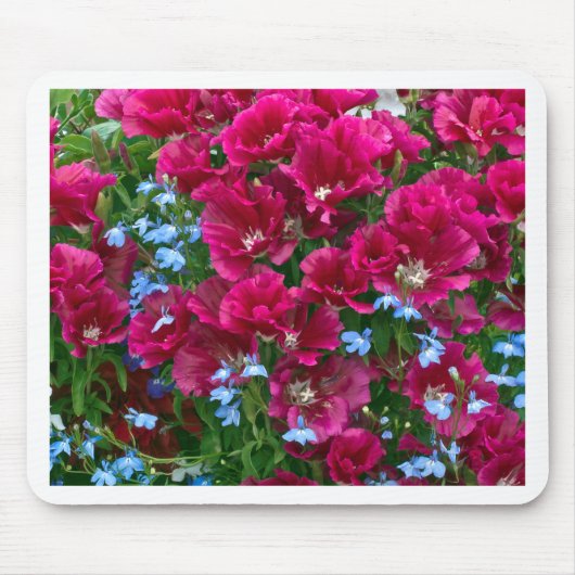 Godetia und Lobelia-Geschenke Mousepad (Vorne)