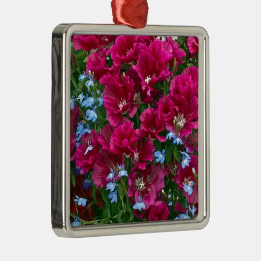 Godetia und Lobelia-Geschenke Silbernes Ornament (Rechts)