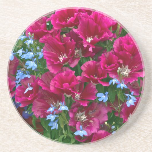 Godetia und Lobelia Getränkeuntersetzer (Vorne)