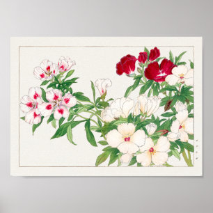 Godetia von Tanigami Konan Poster