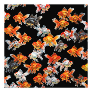 Godfish Parade Fotodruck