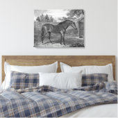 Godolphin Arabian Pferde Leinwanddruck (Insitu (Schlafzimmer))