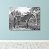 Godolphin Arabian Pferde Leinwanddruck (Insitu (Holzboden))