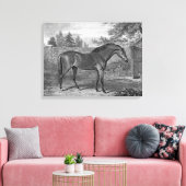 Godolphin Arabian Pferde Leinwanddruck (Insitu (Wohnzimmer))