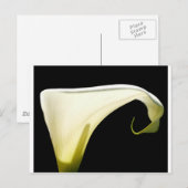 Gods Glory Postkarte (Vorne/Hinten)