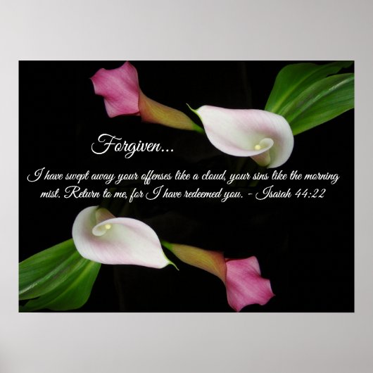 Gods Liebe Forded Calla Lily Blume Poster (Vorne)