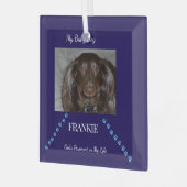 God's Pawprint Keepsake Ornament Aus Glas (Vorderseite links)