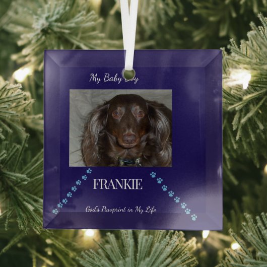 God's Pawprint Keepsake Ornament Aus Glas (Insitu)