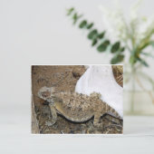 Godzilla-Rücksendungen Postkarte (Stehend Vorderseite)