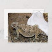 Godzilla-Rücksendungen Postkarte (Vorne/Hinten)