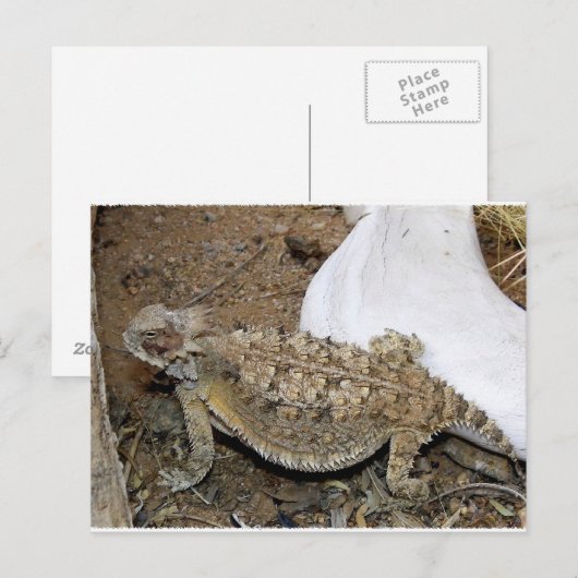 Godzilla-Rücksendungen Postkarte (Vorne/Hinten)