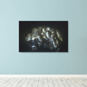 Goethit ist ein wichtiges Eisenerz Leinwanddruck (Insitu (Holzboden))