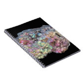 Goethite, der Iridescence zeigt Notizblock (Rechte Seite)