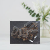 Goethite nach der Siderite Post Card Postkarte (Stehend Vorderseite)