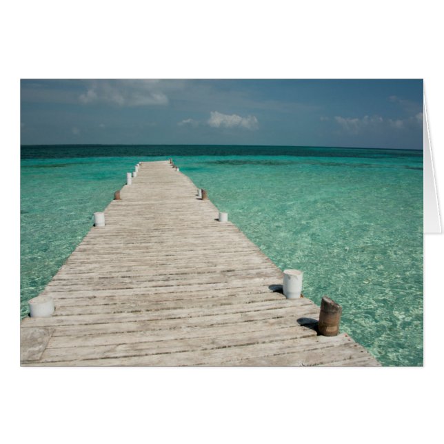 Goff Caye, eine beliebte Insel des Barrier Reef (Vorderseite (Horizontal))
