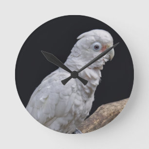 Goffin's Cockatoo Clock Runde Wanduhr