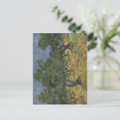 Gogh, Vincent van Olivenhain 1889 Technique ?l auf Postkarte (Stehend Vorderseite)