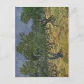 Gogh, Vincent van Olivenhain 1889 Technique ?l auf Postkarte (Vorderseite)