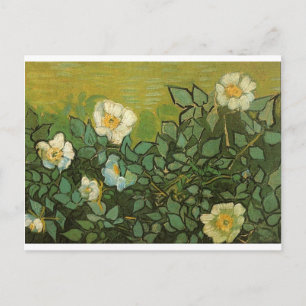 Gogh Wilde Rosen Blüten Blumen Reben Vintage Kunst Postkarte