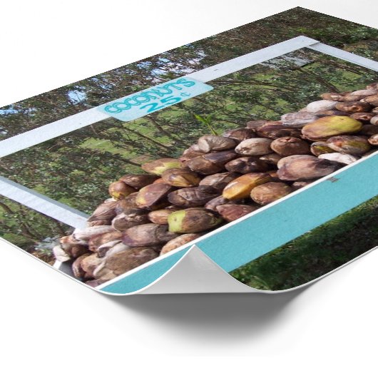 Going Coconuts Poster (Ecke)