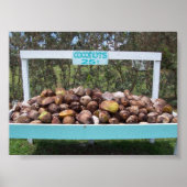 Going Coconuts Poster (Vorne)