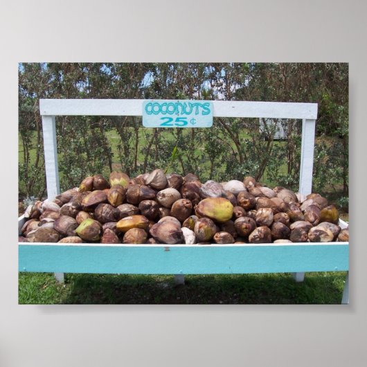 Going Coconuts Poster (Vorne)