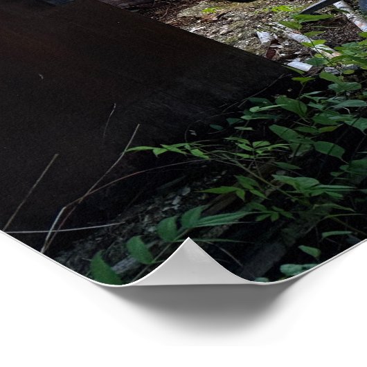 Going Green Poster (Ecke)