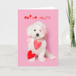 Going Mutts weiße Welpenvalentine Feiertagskarte