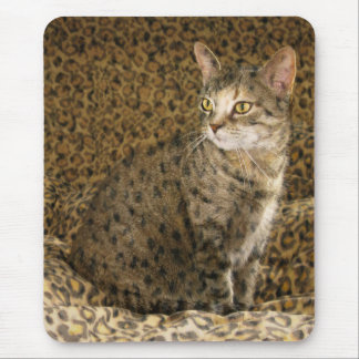 Going Wild ;-) Mousepad