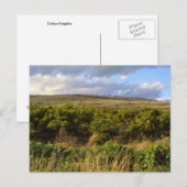Golanhöhen Postkarte (Vorne/Hinten)