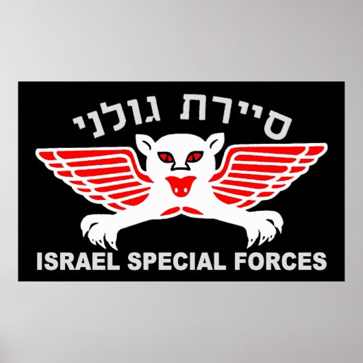 Golani Recon Dark Poster (Vorne)