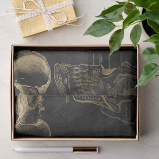 Gold Anatomie Zeichnungen auf schwarzer Decoupage Seidenpapier (Geschenk)