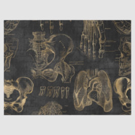 Gold Anatomie Zeichnungen auf schwarzer Decoupage Seidenpapier