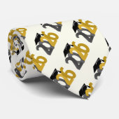 Gold and Silver Class of 2026 Graduation Krawatte (Gerollt)