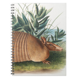 Gold Beige Nine-banded Armadillo Notizblock