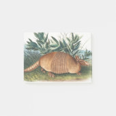Gold Beige Nine-banded Armadillo Post-it Klebezettel (Vorderseite)