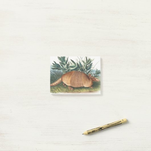Gold Beige Nine-banded Armadillo Post-it Klebezettel (Auf Schreibtisch)
