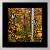 Gold-Blätter Poster (Vorne)