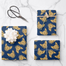 Gold Blue Navy Sphynx Cat