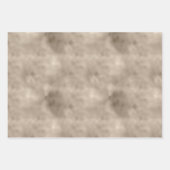 Gold Bronze Leopard Print Geschenkpapier Set (Vorderseite 3)